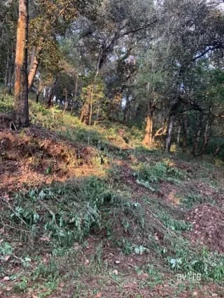 El Encinal, tronco 10.   Terreno de 4,460 varas en venta Q900,000 más impuestos, negociable — Terreno en Venta en El Encinal, Zona 7 Mixco, Guatemala, Ciudad — miniatura 3 de 9