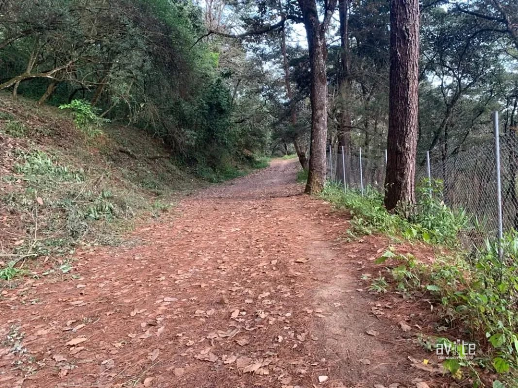 El Encinal, tronco 10. Terreno de 4,460 varas en venta Q900,000 más impuestos, negociable — Terreno en Venta en El Encinal, Zona 7 Mixco, Guatemala, Ciudad — foto 4 de 9