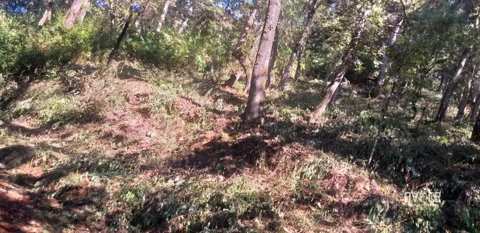 El Encinal, tronco 10. Terreno de 4,460 varas en venta Q900,000 más impuestos, negociable - 8