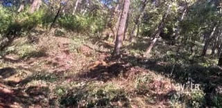 El Encinal, tronco 10.   Terreno de 4,460 varas en venta Q900,000 más impuestos, negociable — Terreno en Venta en El Encinal, Zona 7 Mixco, Guatemala, Ciudad — miniatura 8 de 9