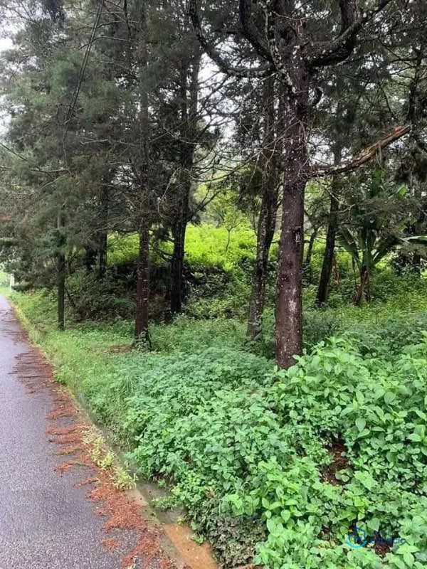 Terreno en venta – Km. 16 Carretera a El Salvador - 16