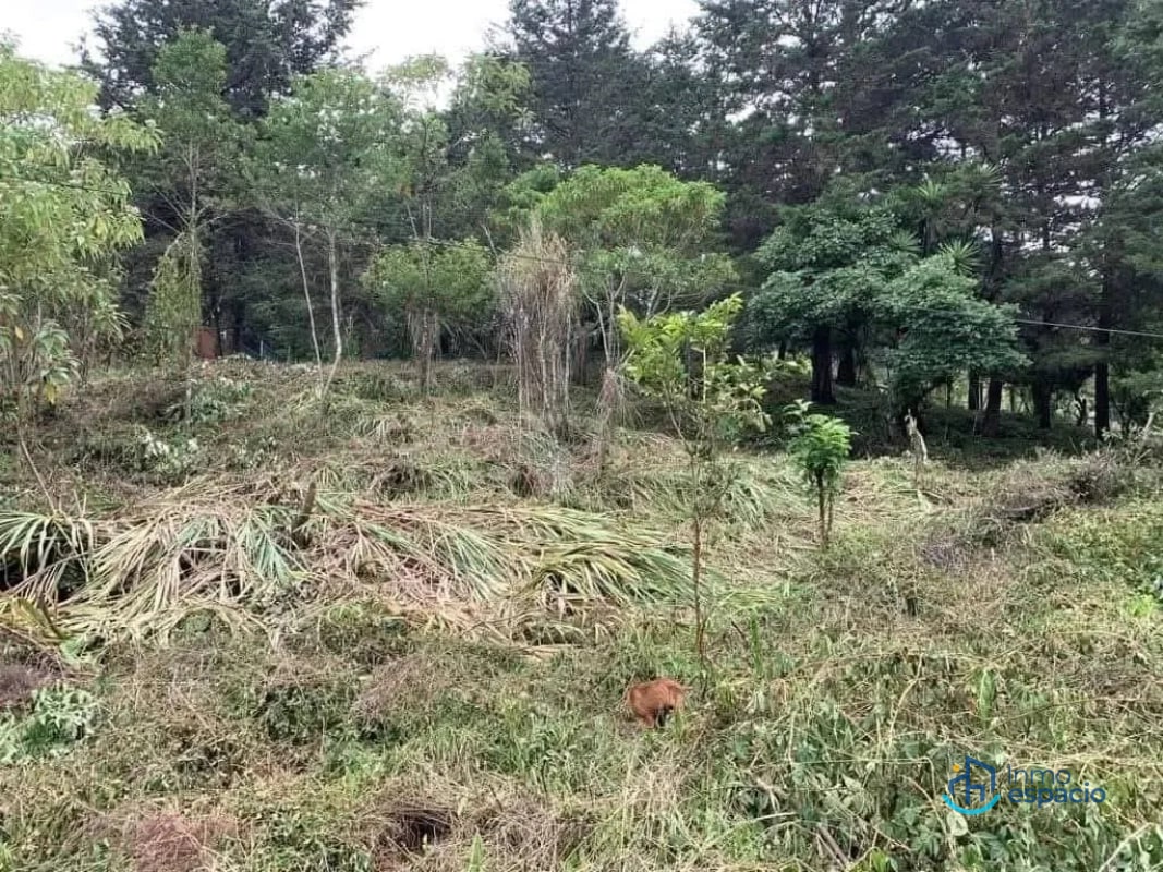 Terreno en venta – Km. 16 Carretera a El Salvador - 10