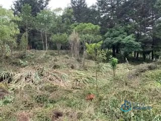 Terreno en venta – Km. 16 Carretera a El Salvador — Terreno en Venta en km 16-20, Carretera a El Salvador, Guatemala, Ciudad — miniatura 10 de 17