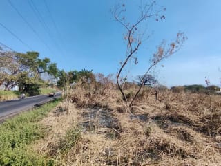 Alquilo terreno en Escuinta de 2.5 manzanas, muy cerca de Prados de la Costa Sur — Terreno en Alquiler en Costa Sur, Escuintla — miniatura 11 de 12