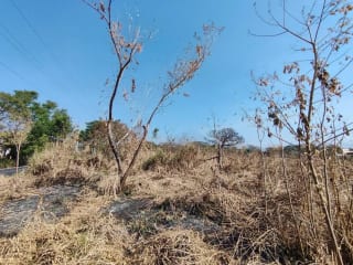 Alquilo terreno en Escuinta de 2.5 manzanas, muy cerca de Prados de la Costa Sur — Terreno en Alquiler en Costa Sur, Escuintla — miniatura 9 de 12