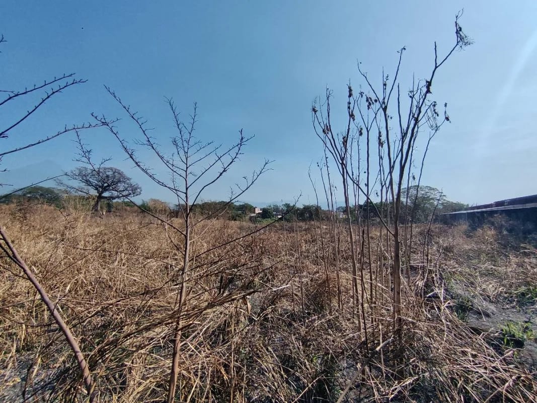 Alquilo terreno en Escuinta de 2.5 manzanas, muy cerca de Prados de la Costa Sur — Terreno en Alquiler en Costa Sur, Escuintla — foto 7 de 12