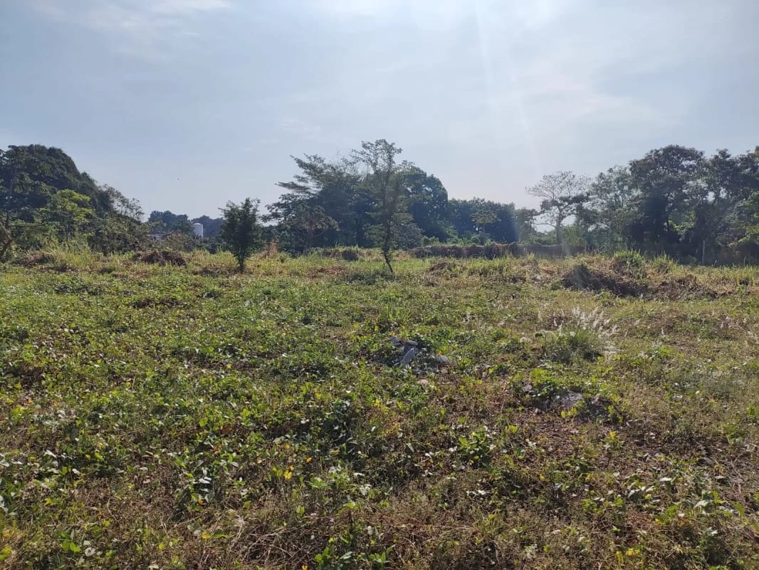 Rento terreno en Escuintla a largo plazo, pegado a la Despensa Familiar — Terreno en Alquiler en Palín, Escuintla — foto 6 de 9