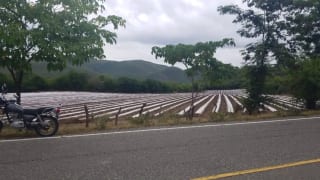 Se vende finca de 26.7 manzanas en El Progreso, Guastatoya — Finca en Venta en El Jícaro, El Progreso — miniatura 5 de 9