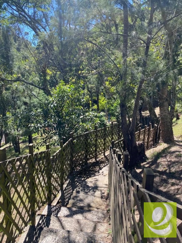 VENDO APARTAMENTO EN ALTA VILLA NARANJO Z11 MIXCO - 6