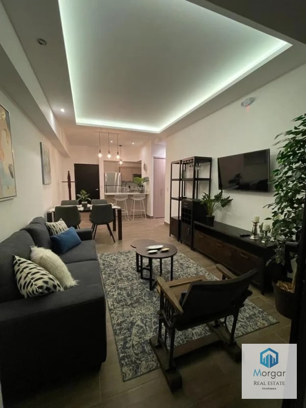 Apartamento amuebaldo en renta - 1