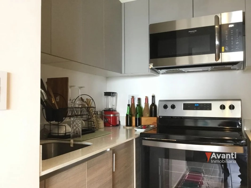 ALQUILO APARTAMENTO ZONA 10, PARQUE 10 CON O SIN MUEBLES - 10