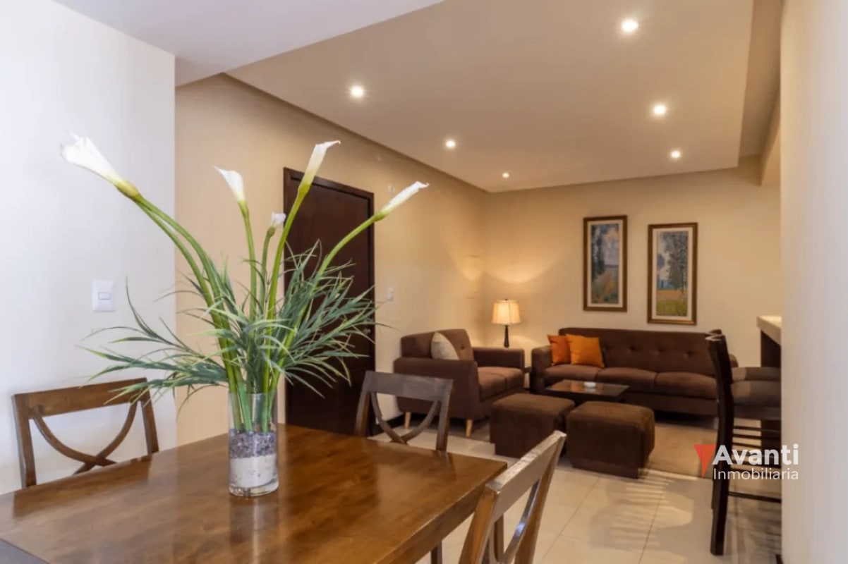 ALQUILER APARTAMENTO AMUEBLADO ZONA 14 - 9