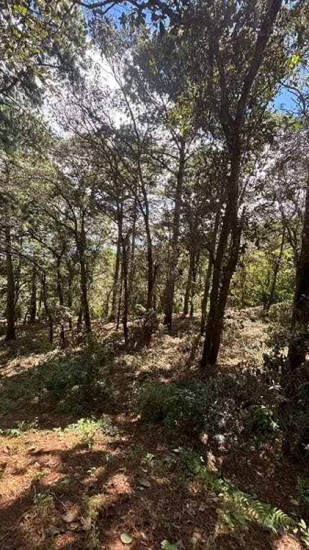 Venta de terreno en San Lucas Aldea El Choacorral  8,290 Vr2. — Terreno en Venta en San Lucas Sacatepéquez, Sacatepéquez — foto 3 de 4