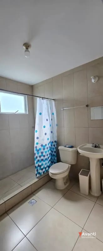 ALQUILO APARTAMENTO ZONA 11 , AMUEBLADO — Apartamento en Alquiler en Zona 11, Guatemala, Ciudad — foto 3 de 9