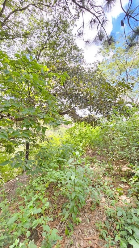Terreno en venta en Huehuetenango salida a carretera - 1