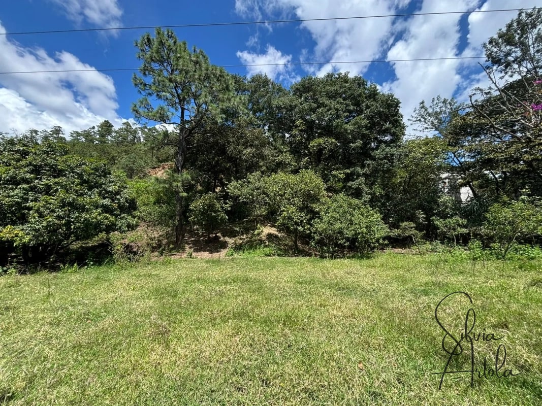 Terreno en venta en Huehuetenango salida a carretera - 13