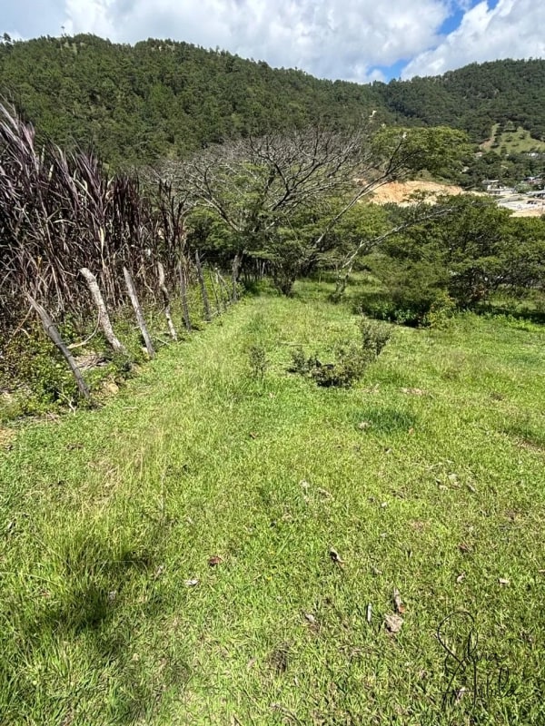 Terreno en venta en Huehuetenango salida a carretera - 14