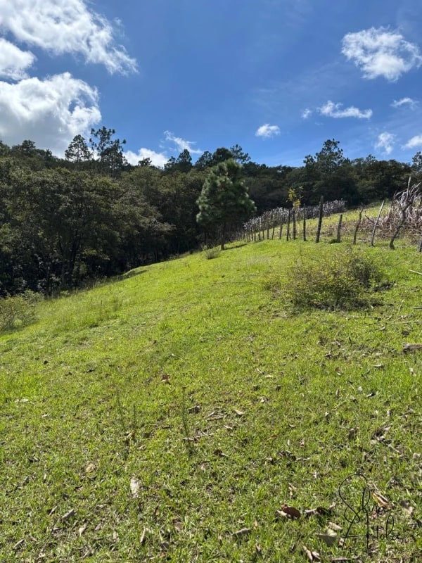 Terreno en venta en Huehuetenango salida a carretera - 15