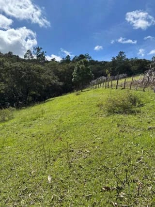 Terreno en venta en Huehuetenango salida a carretera — Terreno en Venta en Huehuetenango, Huehuetenango — miniatura 15 de 17