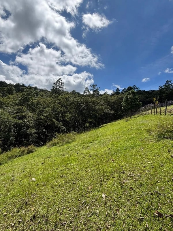 Terreno en venta en Huehuetenango salida a carretera - 16
