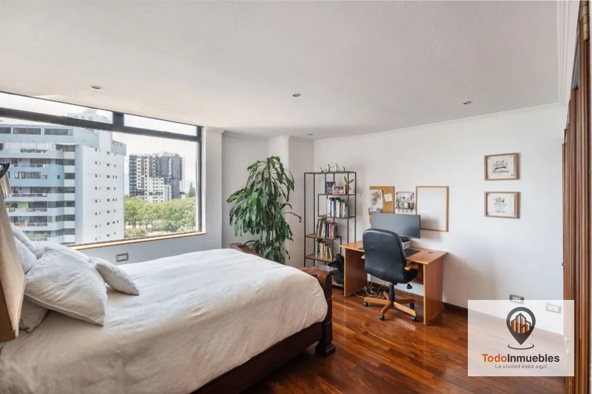 Apartamento Penthouse remodelado en Renta en z14 - 8