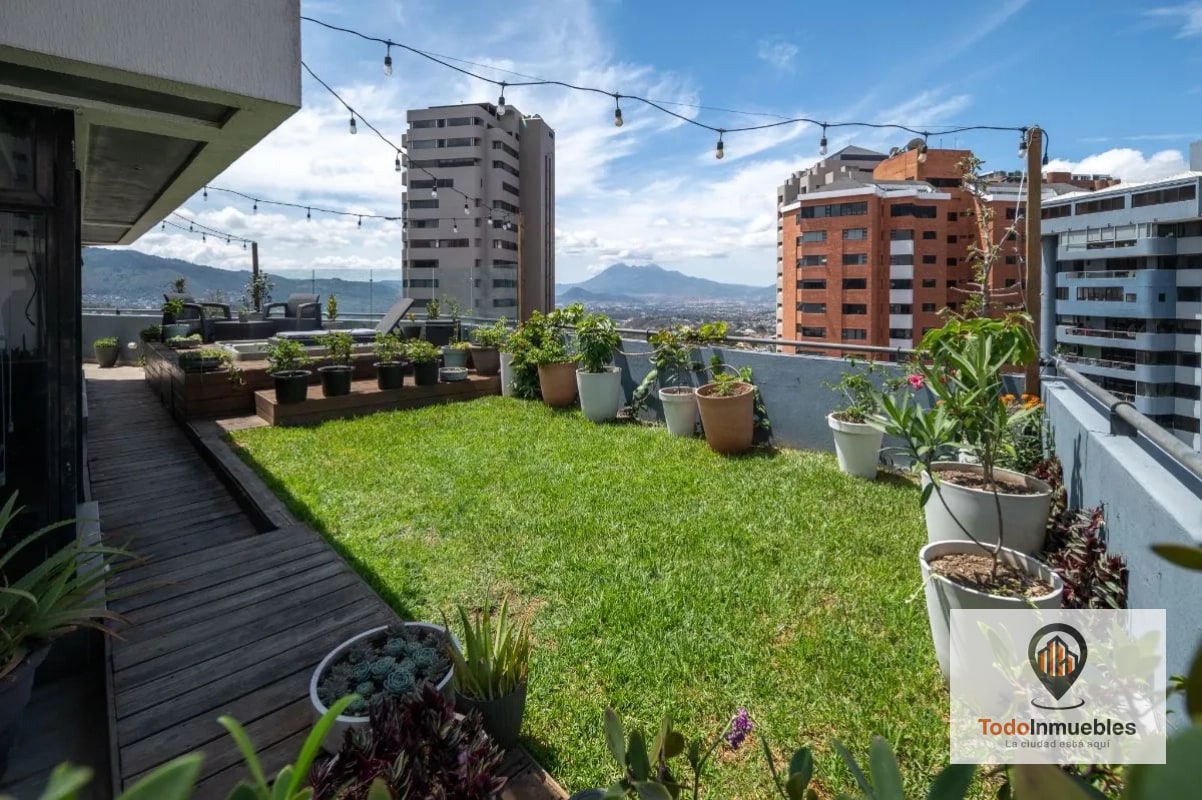 Apartamento Penthouse remodelado en Renta en z14 - 4
