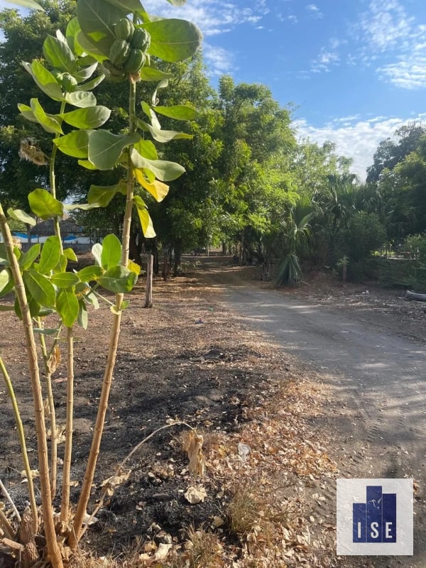 Terreno en venta El Cebollito, Monterrico - 1