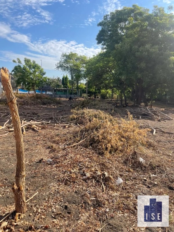 Terreno en venta El Cebollito, Monterrico - 2
