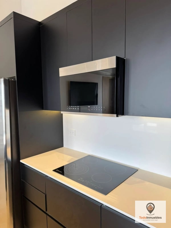 Apartamento Penthouse Loft en Renta en z10 - 8