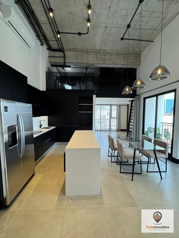 Apartamento Penthouse Loft en Renta en z10 - 1