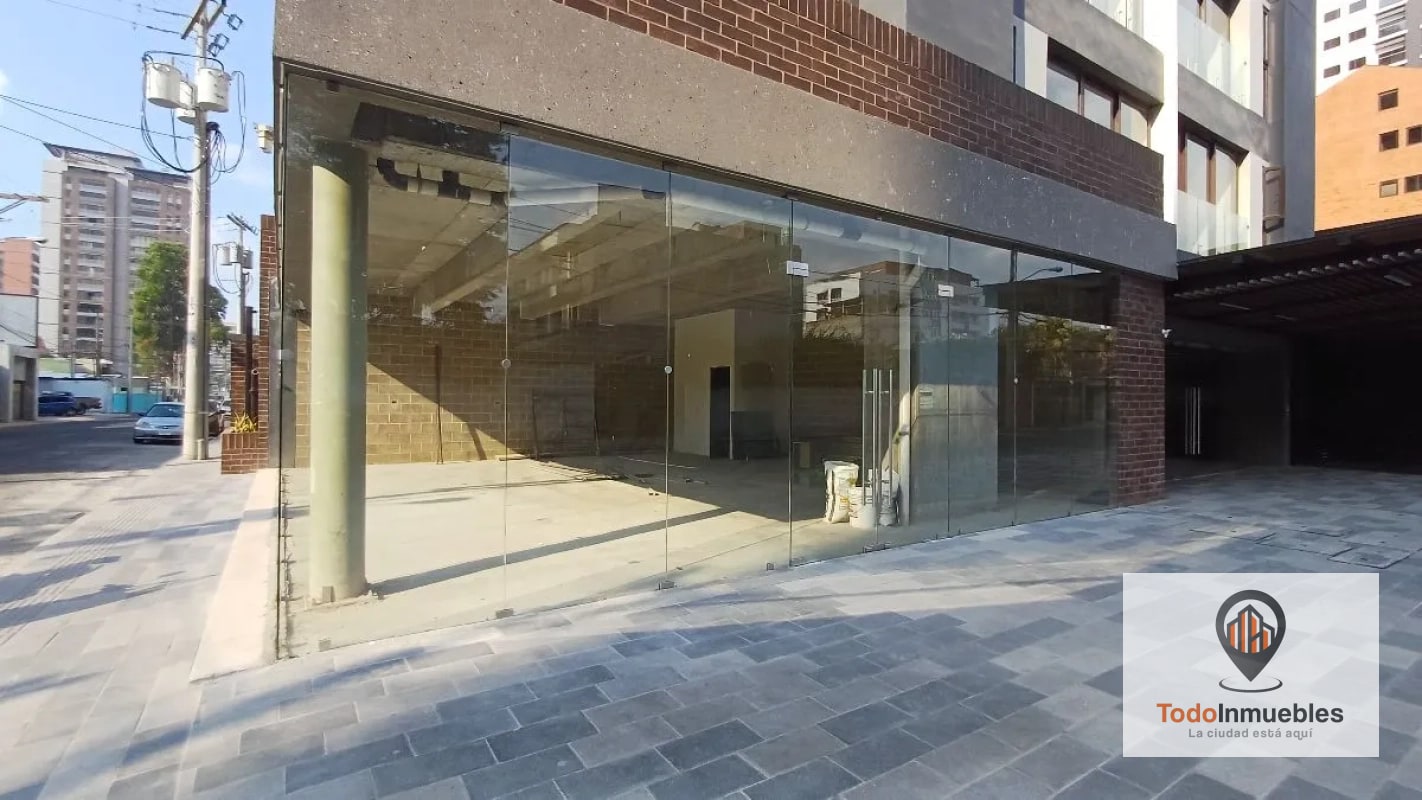 Local Comercial en Renta en z10 Sector Diagonal 6 - 3