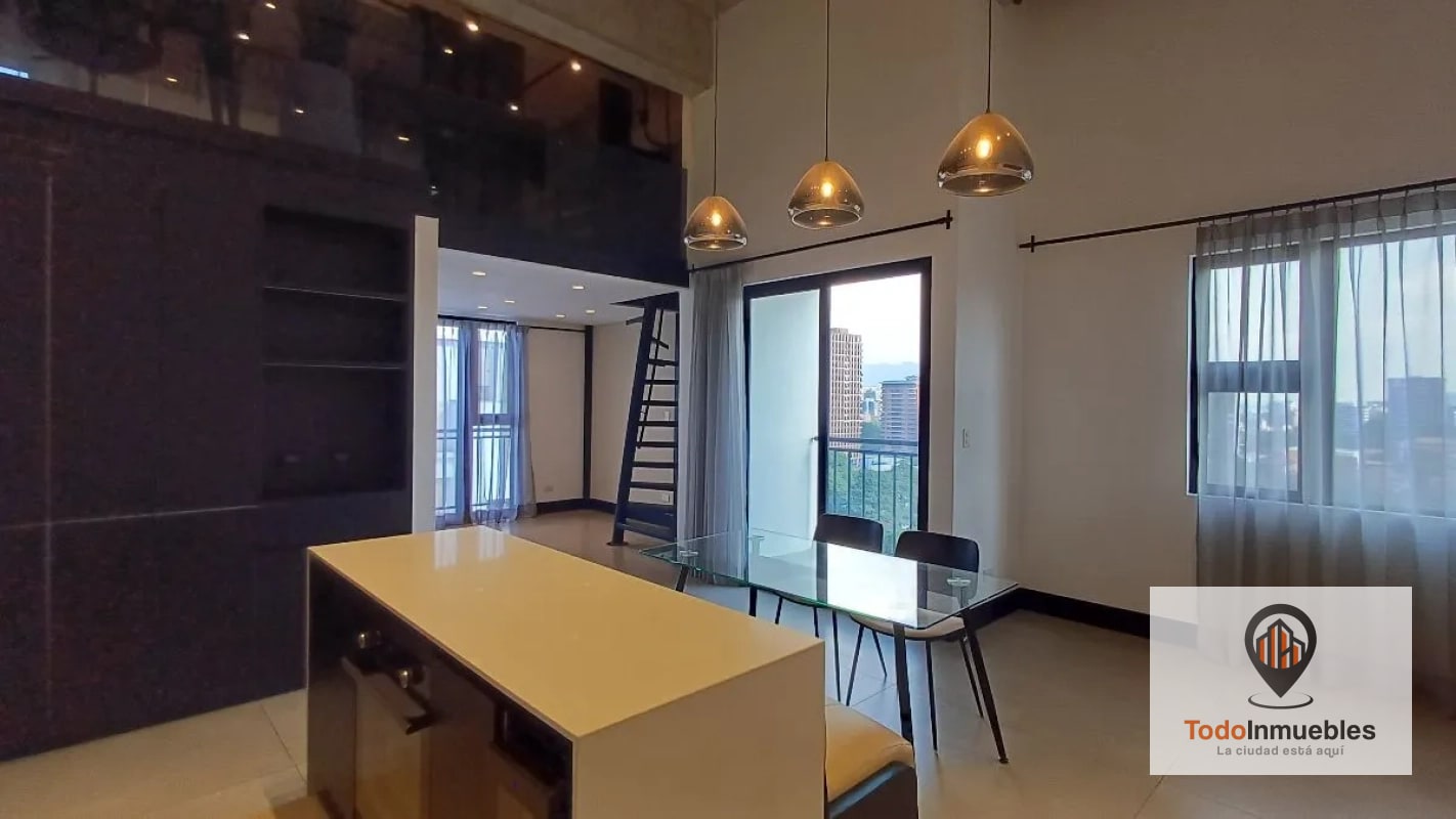 Apartamento Penthouse Loft en Renta en z10 - 10