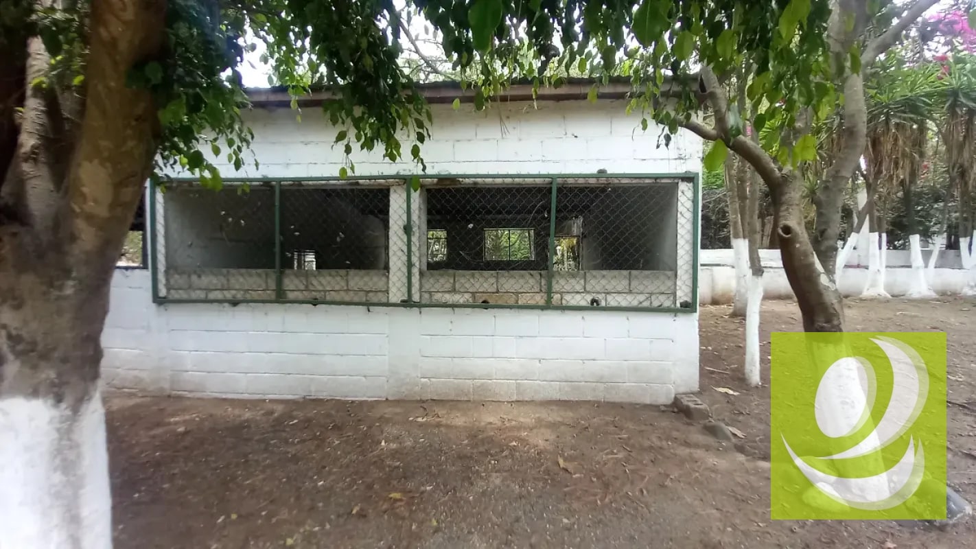 Terreno en Venta /Renta en San José Villa Nueva - 3