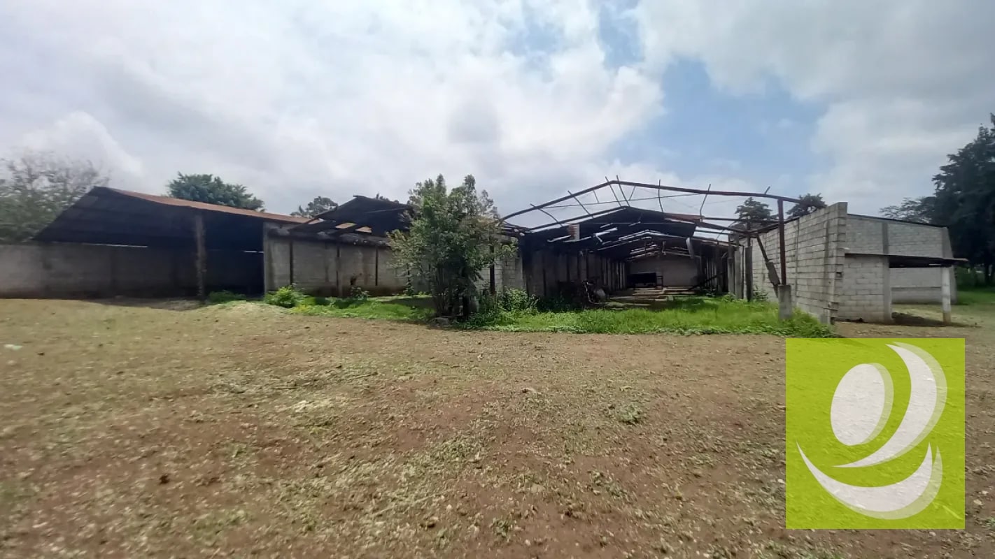 Terreno en Venta /Renta en San José Villa Nueva - 5