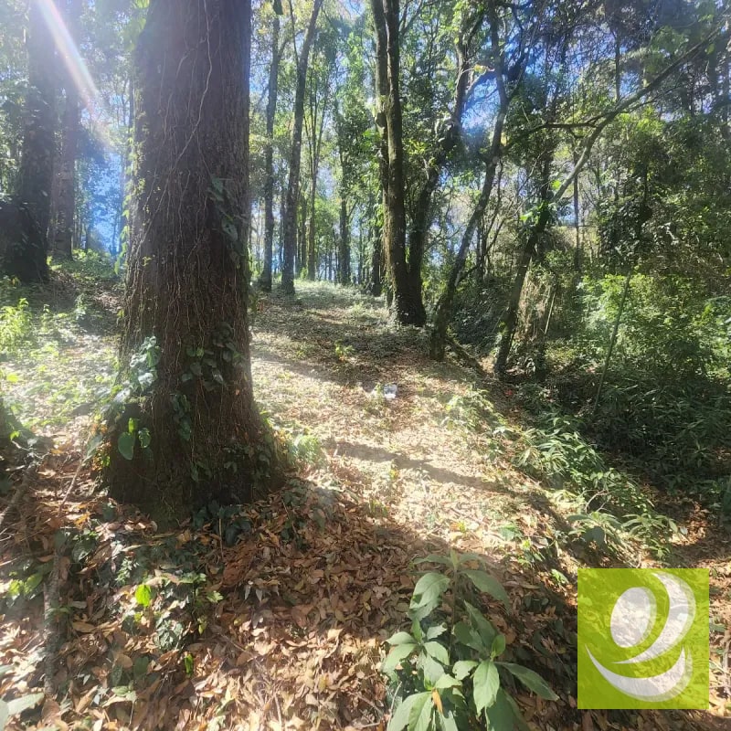 Terreno en Venta Bosque Vivo - 2