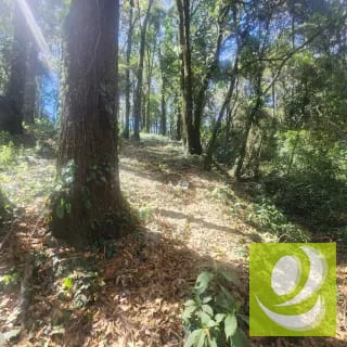 Terreno en Venta Bosque Vivo — Terreno en Venta en Zona 1 Mixco, Guatemala, Ciudad — miniatura 3 de 6