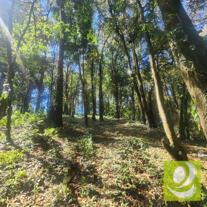 Terreno en Venta Bosque Vivo - 3