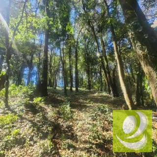 Terreno en Venta Bosque Vivo — Terreno en Venta en Zona 1 Mixco, Guatemala, Ciudad — miniatura 1 de 6