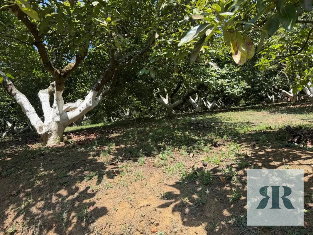Venta Granja Santa Lucía Milpas Altas - 5